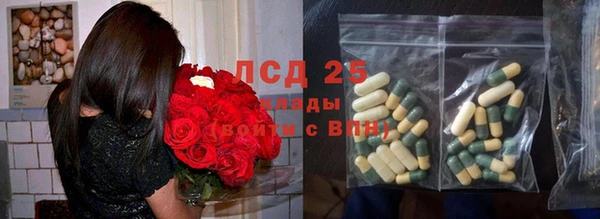 прущие грибы Абдулино