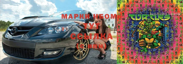 прущие грибы Абдулино