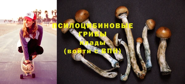 прущие грибы Абдулино
