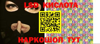 гашик Можга