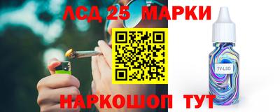 гашик Можга