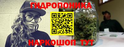 гашик Можга