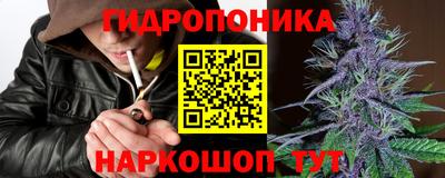 гашик Можга