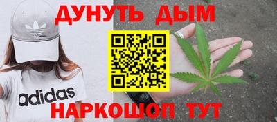гашик Можга