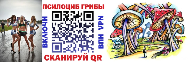 Галлюциногенные грибы Psilocybe  Южноуральск 