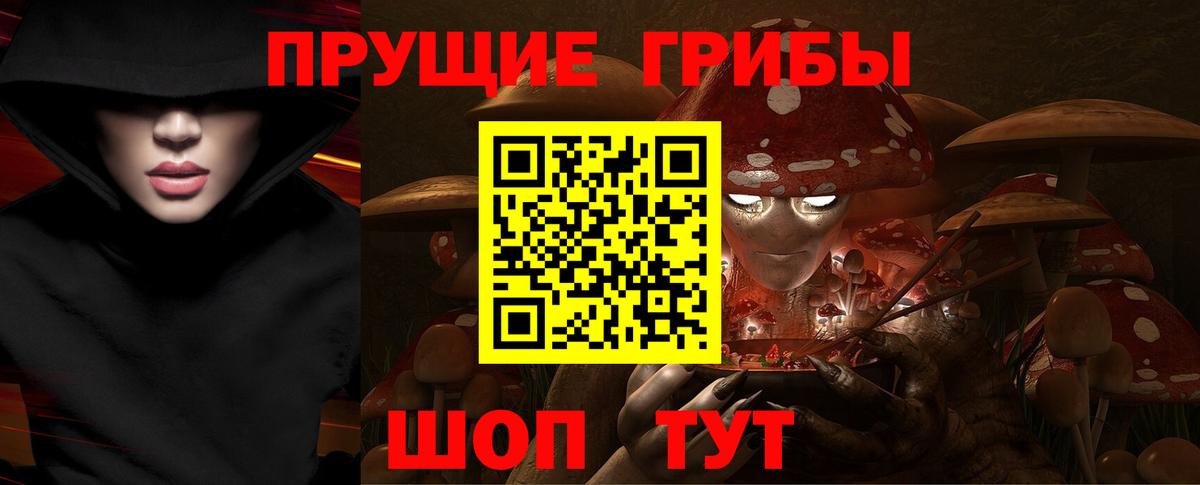 Галлюциногенные грибы Psilocybine cubensis Южноуральск